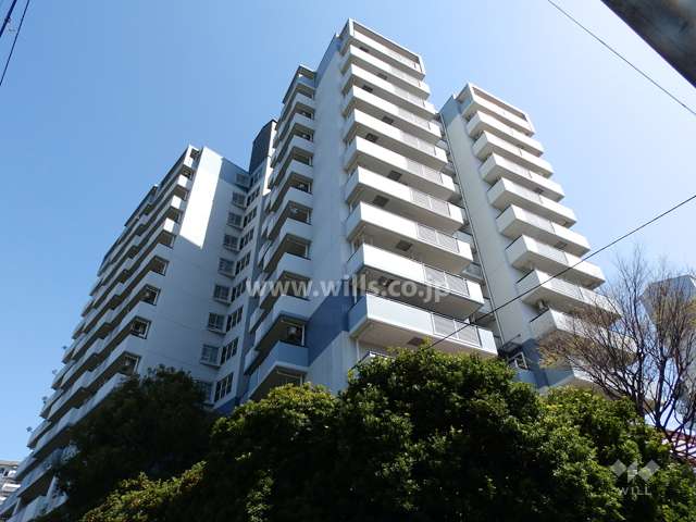 リバライン井高野1号棟の外観(南西側から)