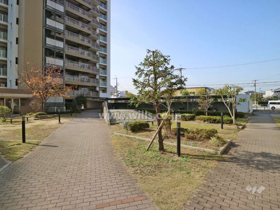 敷地内の各所に植栽スペースが設けられています。