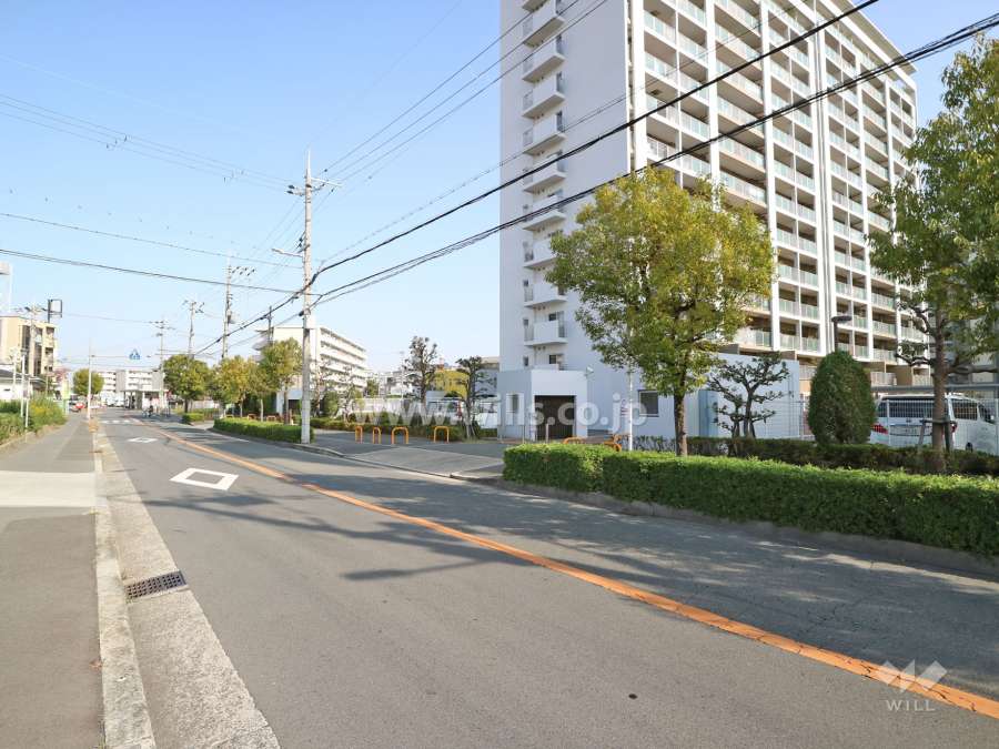 敷地西側の前面道路。
