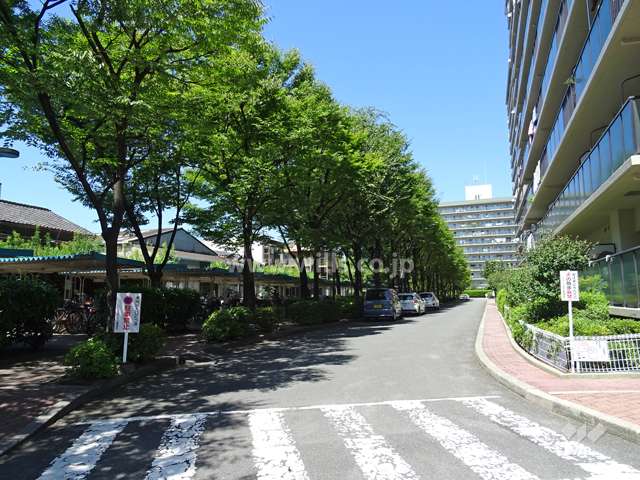 弐番館の前には駐車場への車路があり、街路樹が並びます。