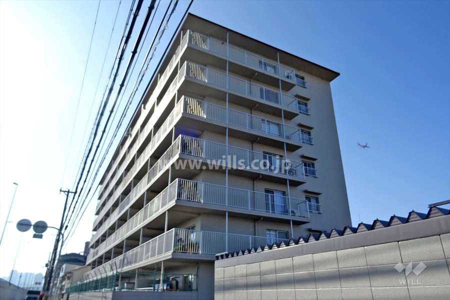 ドルミ淀川の外観（東側から）