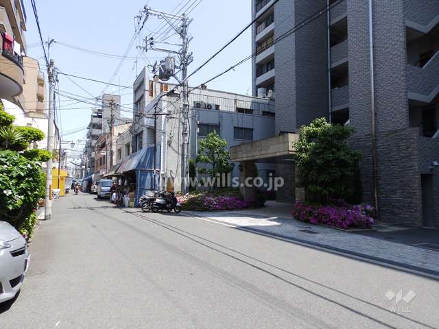 敷地南側前面道路