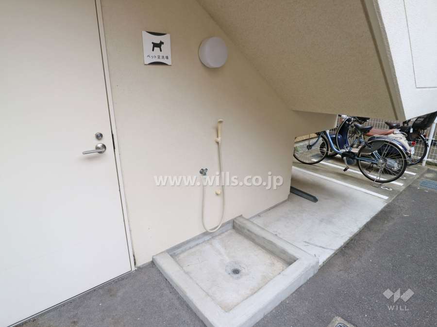 ペット洗い場