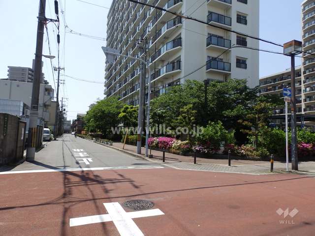 敷地南側前面道路
