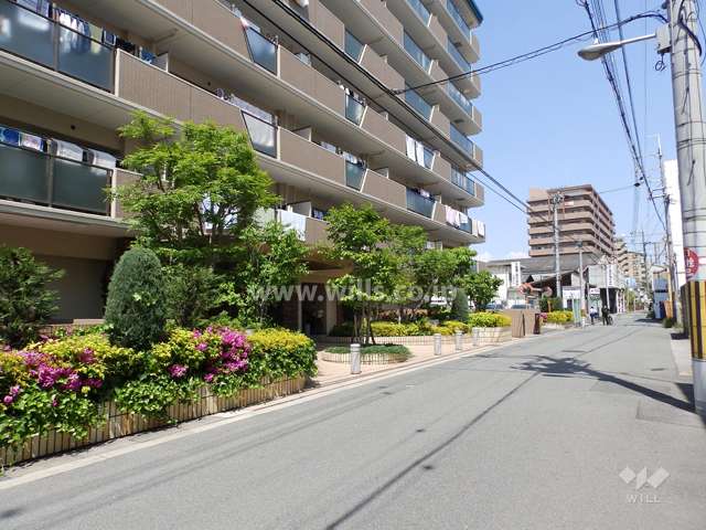 敷地南側前面道路