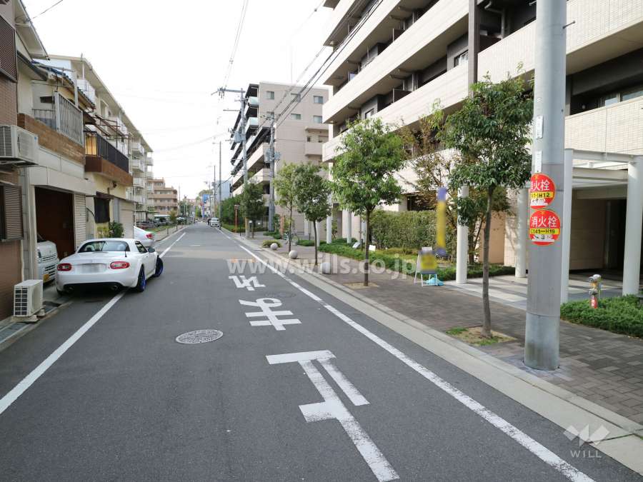 敷地南側の前面道路。