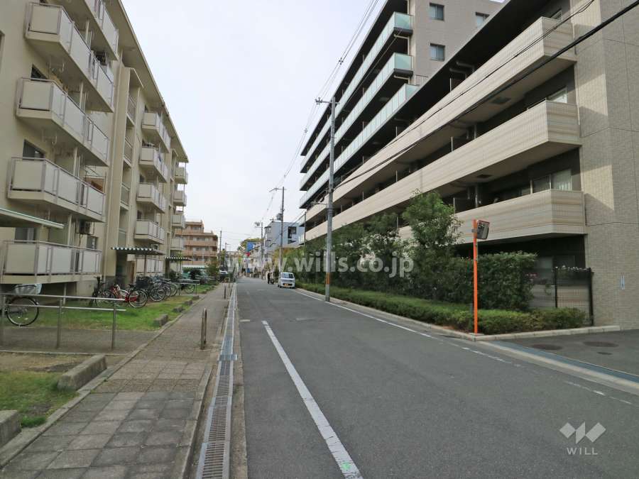 敷地南側の前面道路。