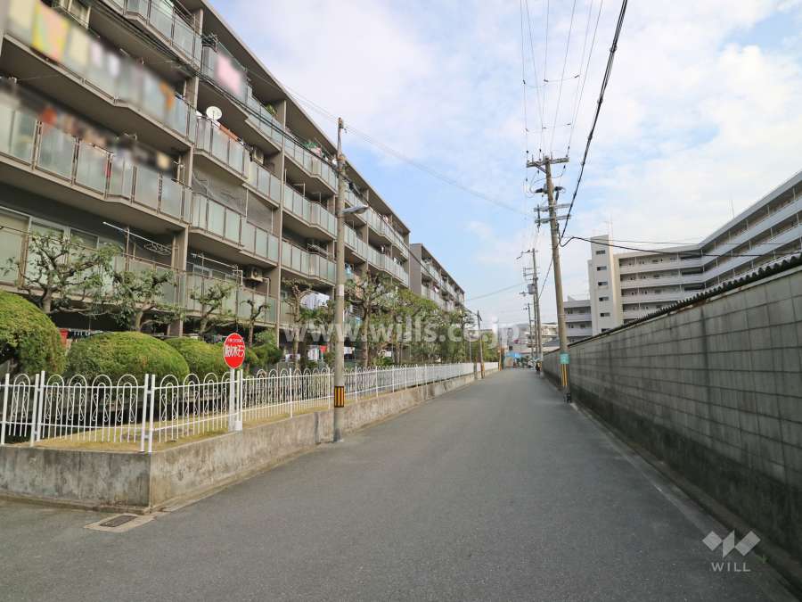 敷地南側の前面道路