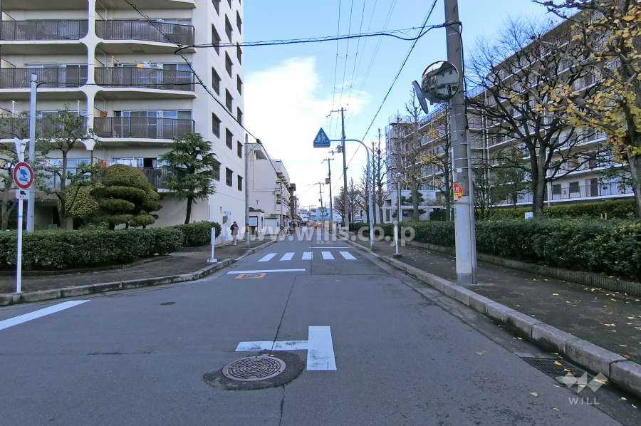 敷地南側の前面道路