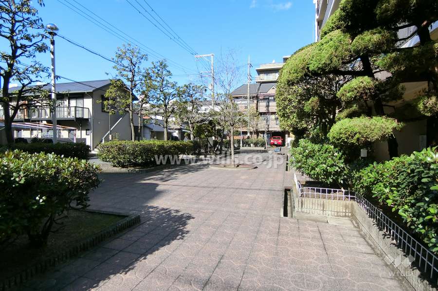 敷地の西側は広場になっています。