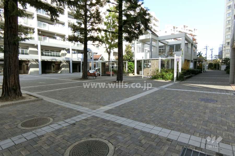 敷地内の各所に植栽スペースが設けられています。