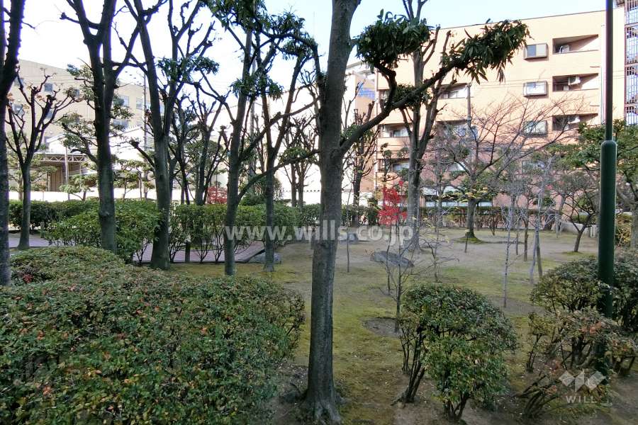 敷地内の各所に植栽スペースが設けられています。