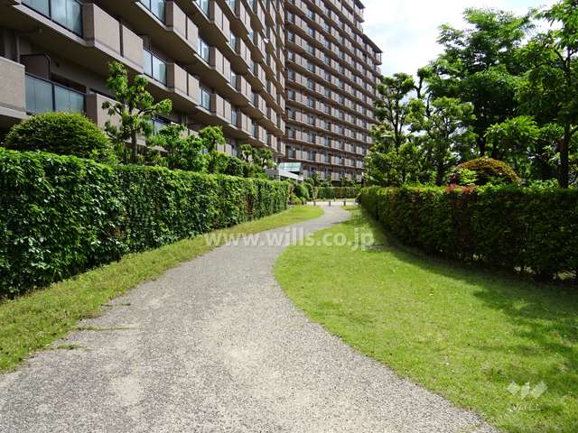 敷地南側にある通路