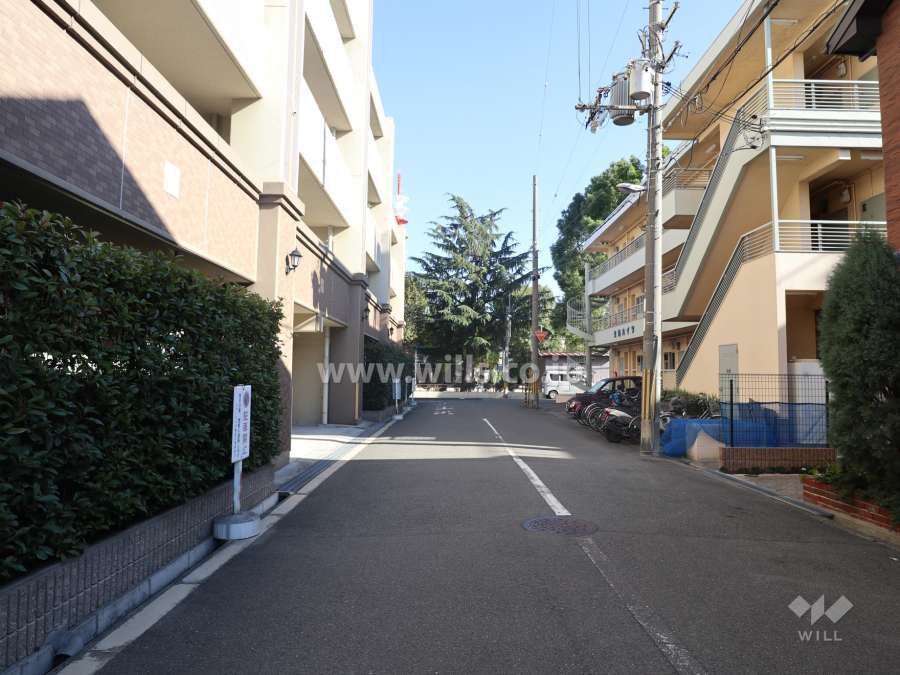 敷地南側の前面道路