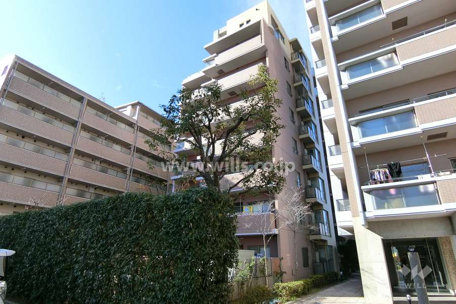 ラウムズ菅原サウスヒルの外観（北東側から）