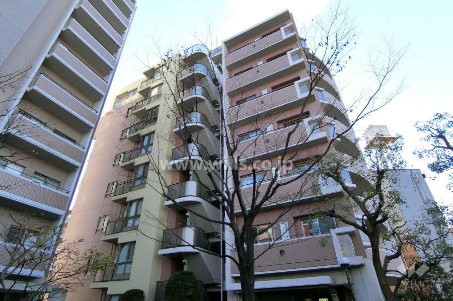 ラウムズ菅原サウスヒルの外観（北西側から）