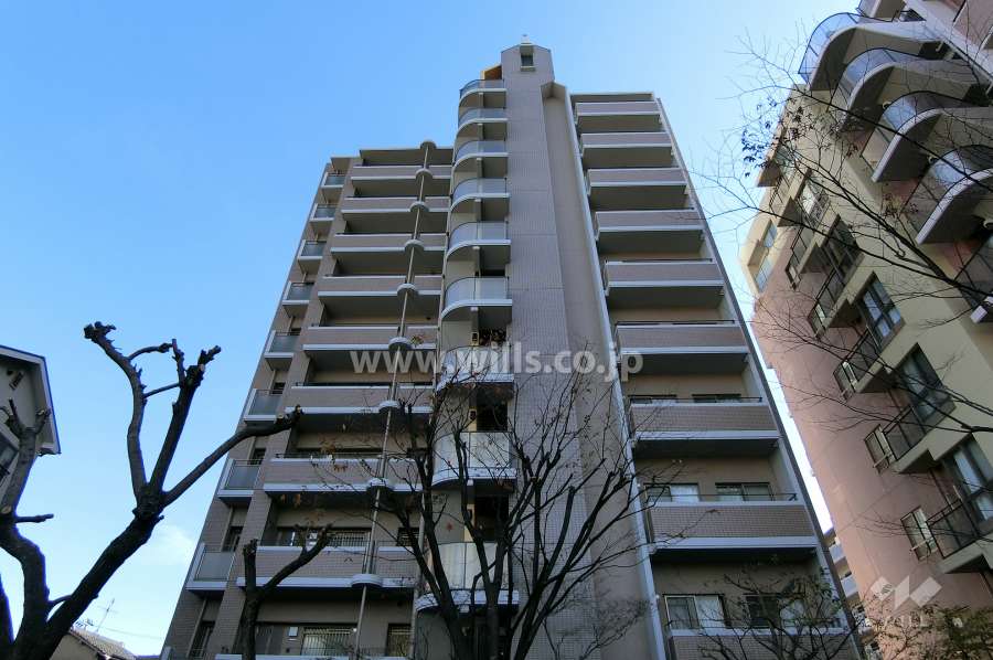 ラウムズ菅原ノースヒルの外観（西側から）