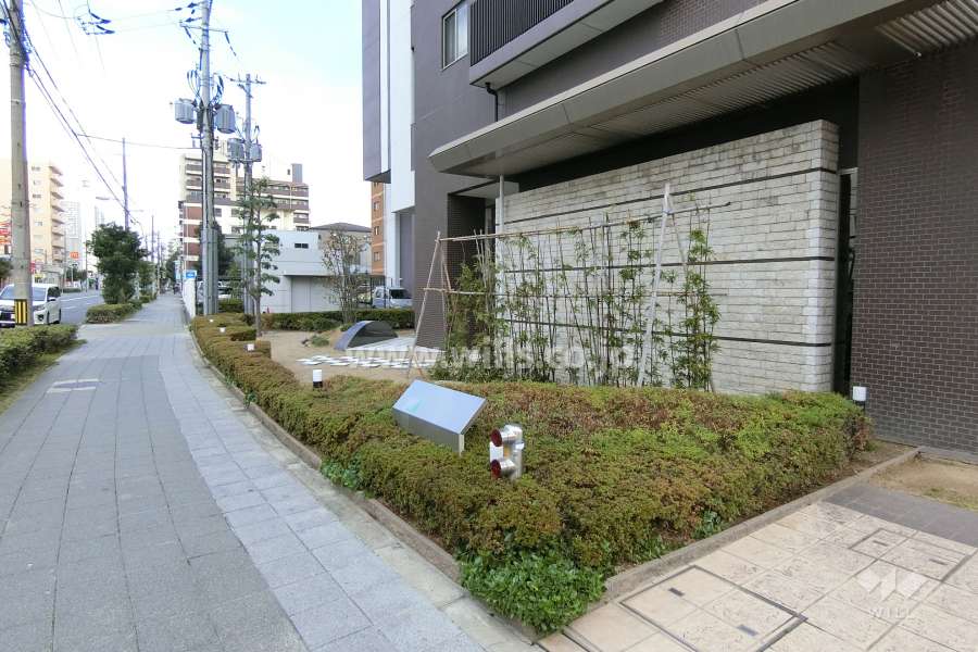 敷地内には植栽スペースが設けられています。