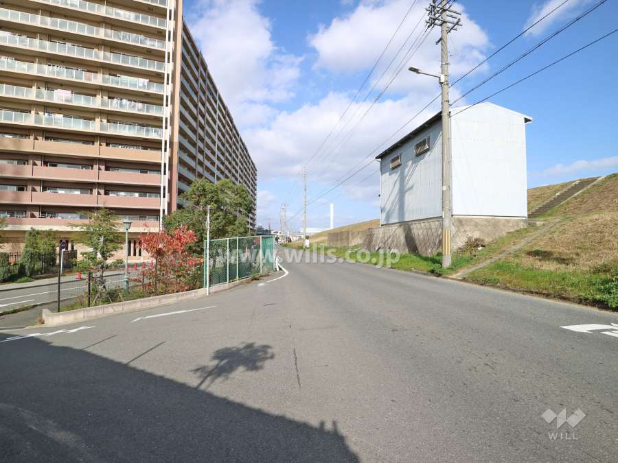 敷地東側の前面道路