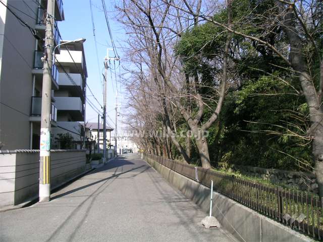 敷地の東側は緑地になっています。