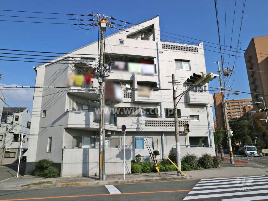 コーポ新豊里の外観(西側から)