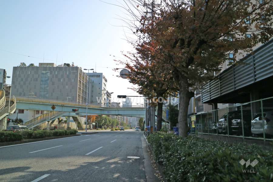 敷地東側の前面道路（北側から）