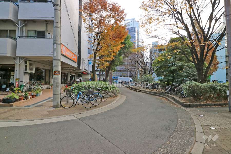 敷地南西側の前面道路（北西側から）