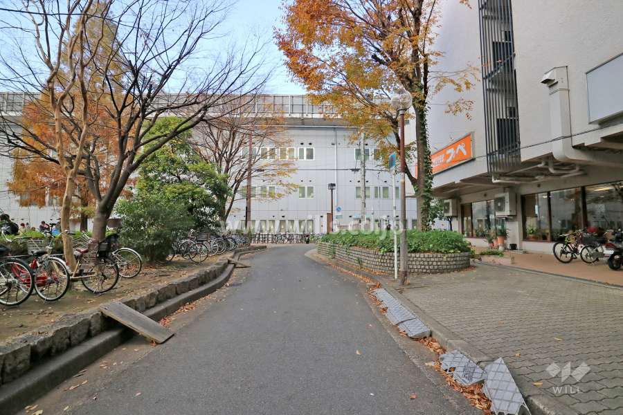 敷地南西側の前面道路（南東側から）