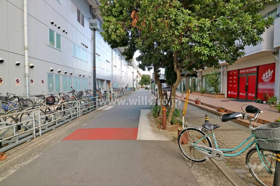 敷地北西側の前面道路（南西側から）