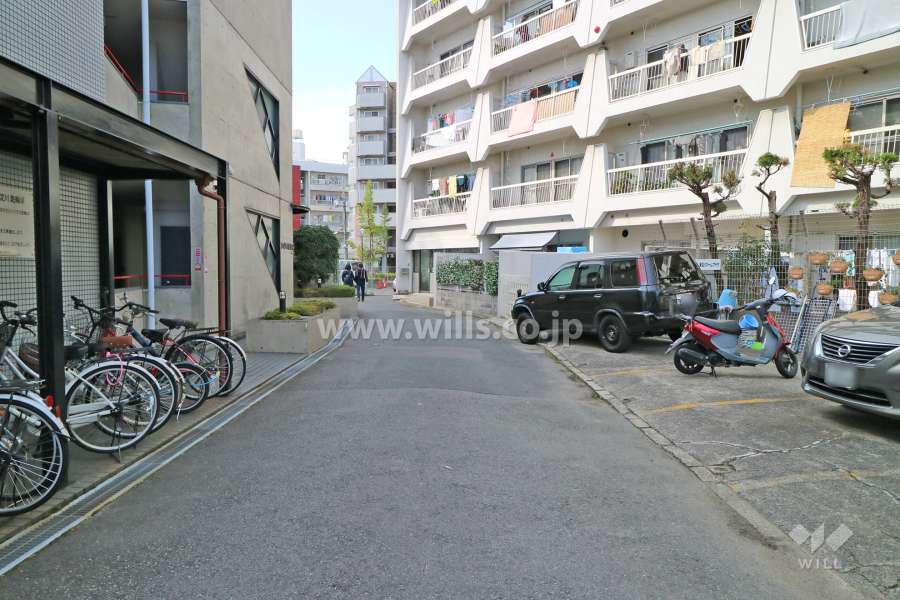 敷地南側の前面道路（東側から）