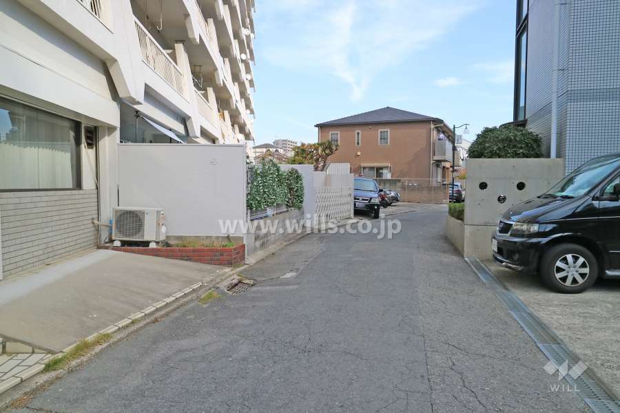 敷地南側の前面道路（西側から）