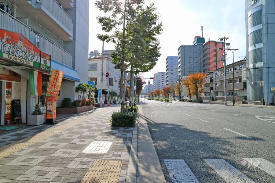 敷地西側の前面道路（北側から）