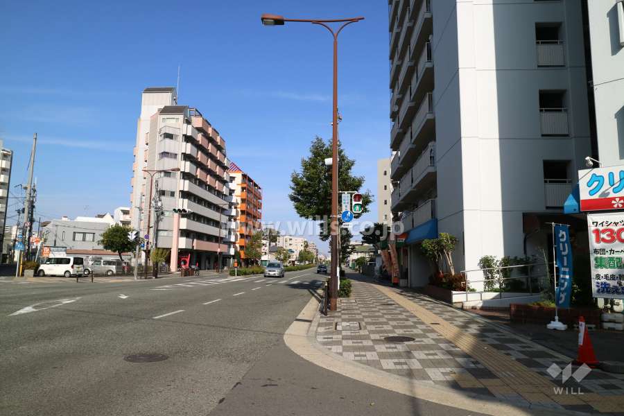 敷地西側の前面道路（南側から）
