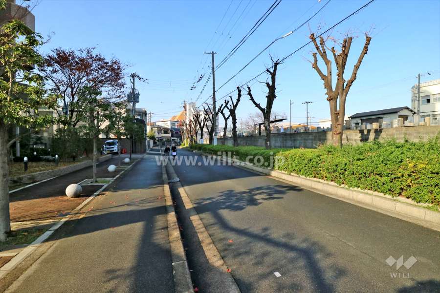 敷地北側の前面道路（東側から）