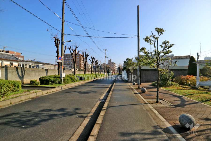 敷地北側の前面道路（西側から）