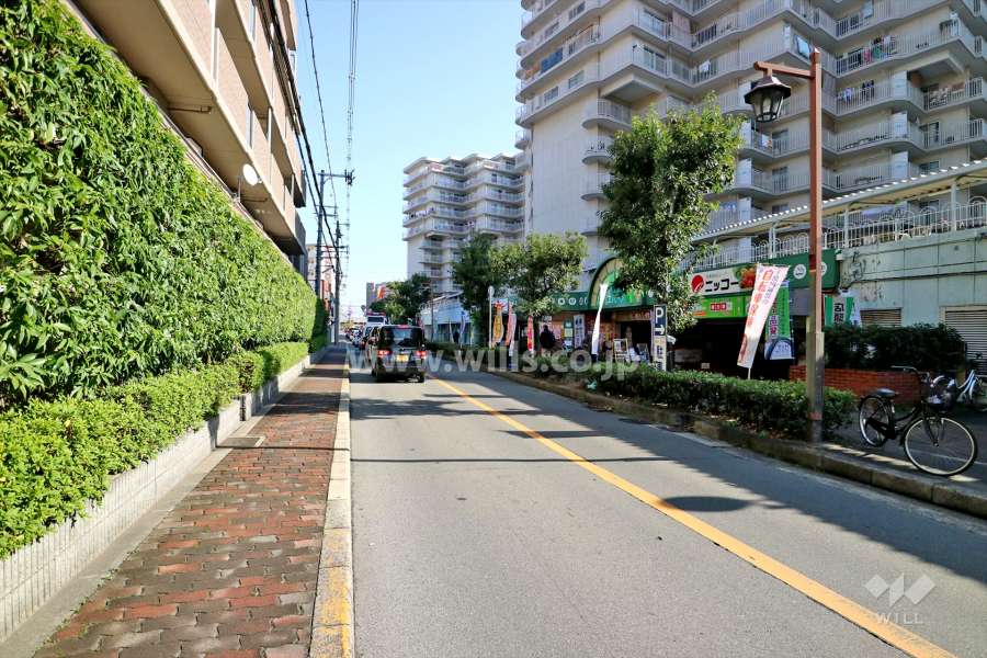 南東側前面道路（南西側から）