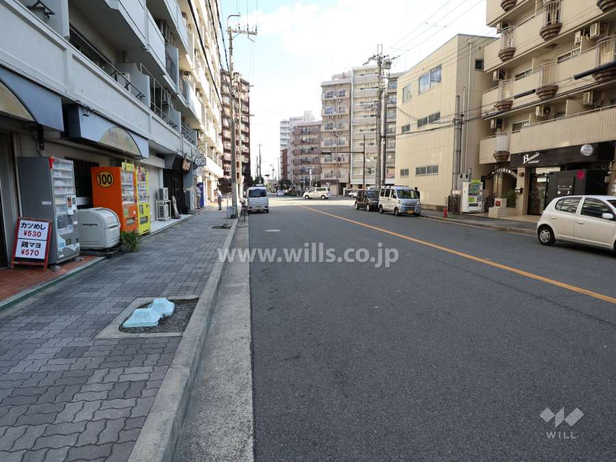 前面道路の南側道路(西側から)