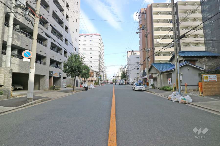 敷地南側の前面道路（西側から）