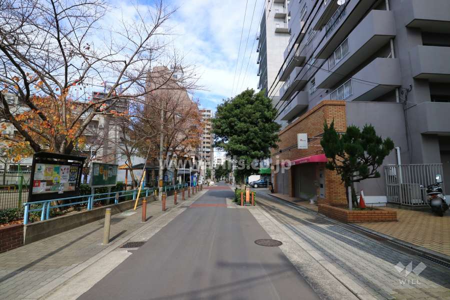 敷地北西側の前面道路（南西側から）