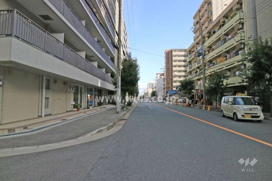 敷地南側の前面道路（西側から）
