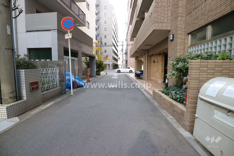 敷地西側の前面道路（北側から）