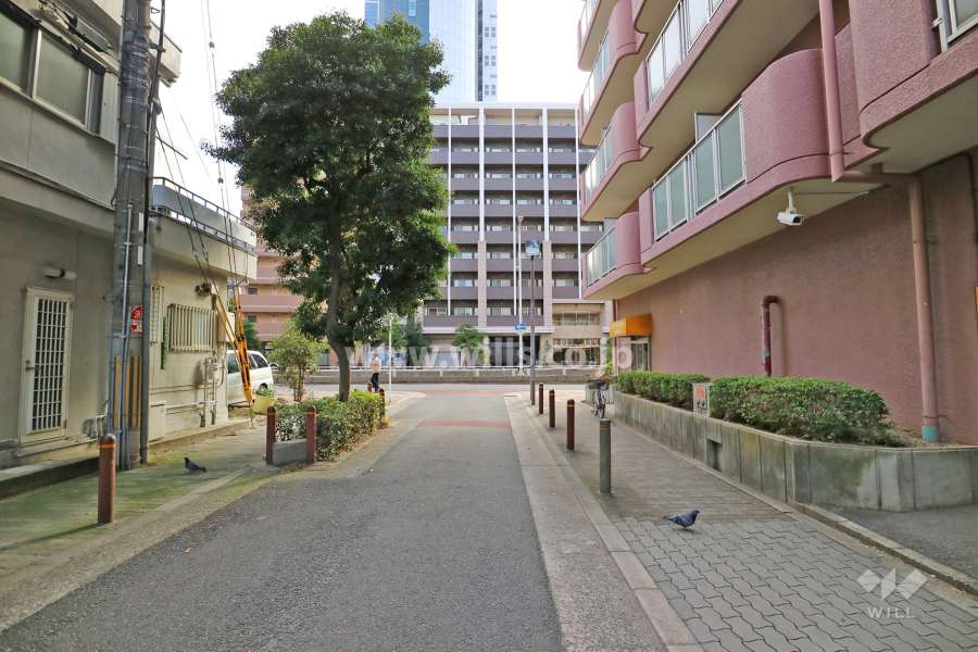 敷地東側の前面道路（北側から）