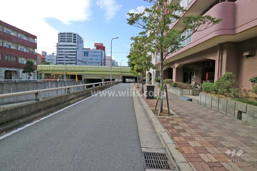 敷地南側の前面道路（東側から）