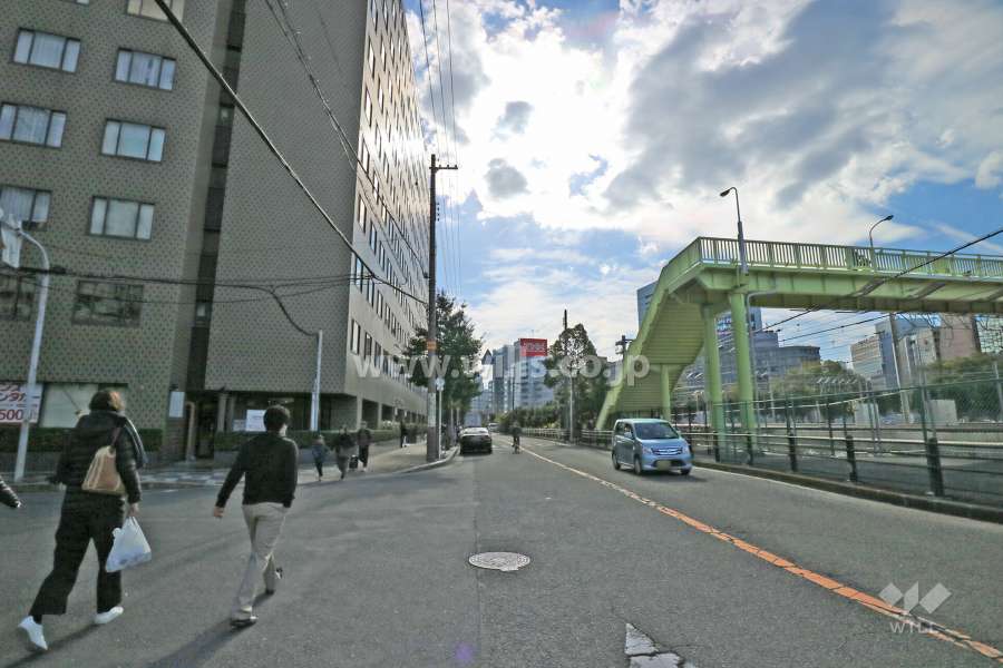 敷地西側の前面道路（北側から）