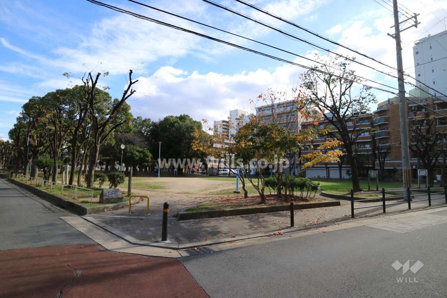 新駅2号公園
