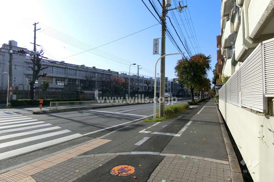 敷地南側の前面道路。4車線のバス通りです。