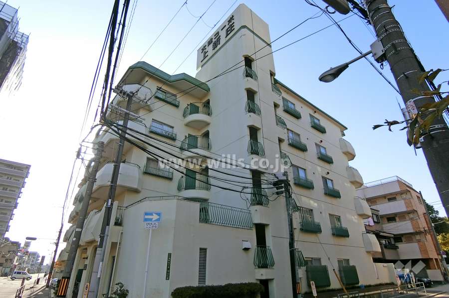 大建コーポ上新庄の外観（北東側から）