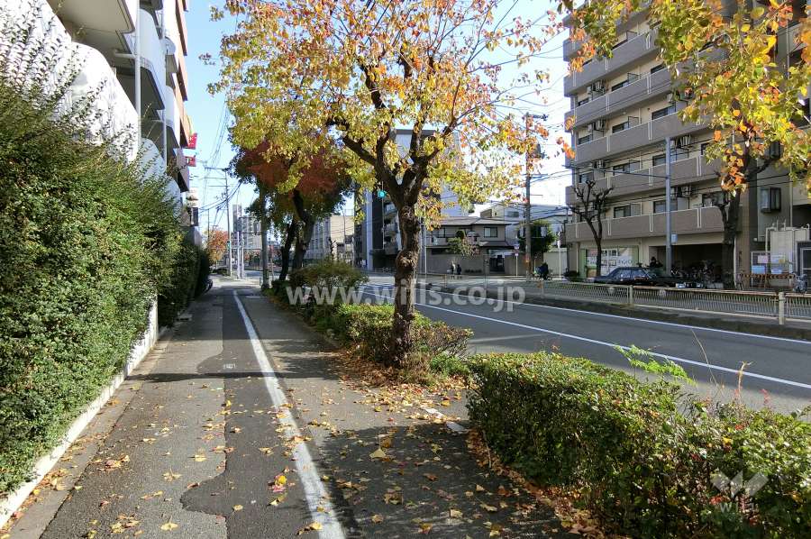 敷地南側の前面道路。4車線の道路です。