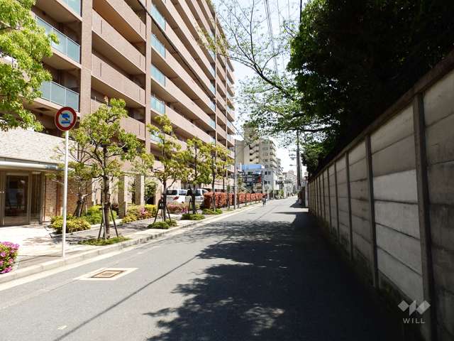 敷地南側前面道路