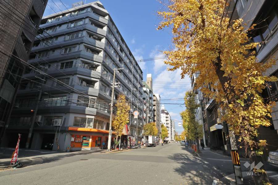 敷地東側の前面道路